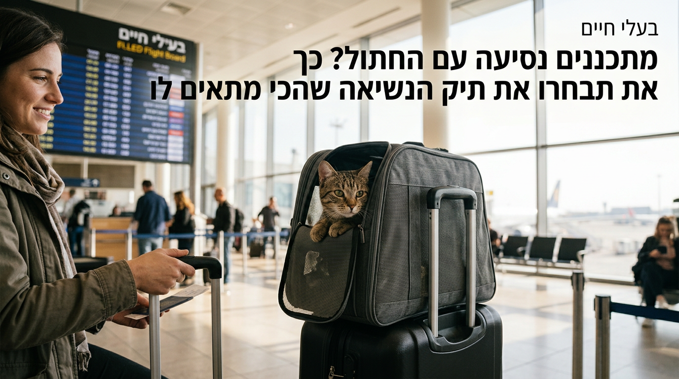 מתכננים נסיעה עם החתול? כך תבחרו את תיק הנשיאה שהכי מתאים לו