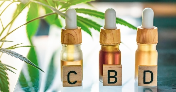שמן CBD