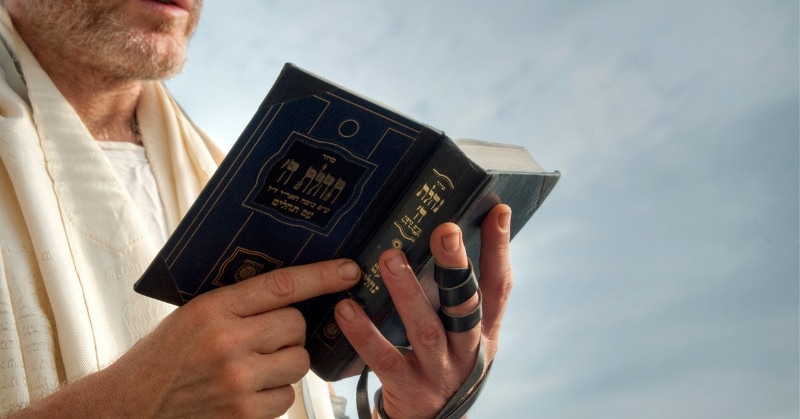 לימוד תורה